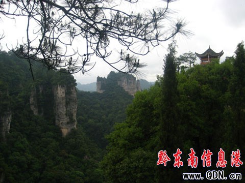 �FꖔzӰ�������_ɽ��· ������Bҹʩ��(�D)