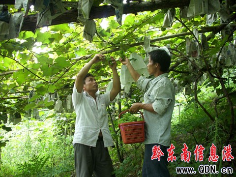 �����r(n��ng)���ɞ����Ѵ������x�¡������գ��D��