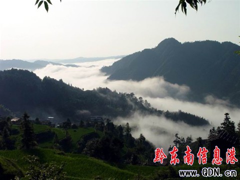 深山苗寨驚現霧海奇觀(組圖)