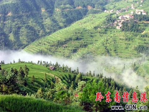 深山苗寨驚現霧海奇觀(組圖)