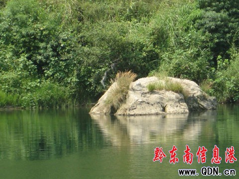 �����ԁ��B��12�l���� ��ɳ���й��лꣿ���D��