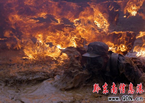 �����Ї��������Ӗ�����M�D��