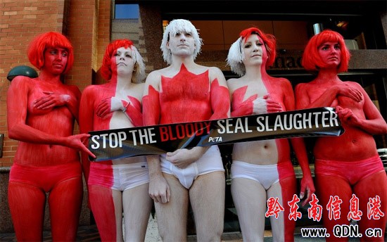 �M�D�����ﱣ�o�M���ɆT���w���h�C������