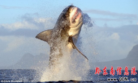 �������ˮ�������_Ѫ����