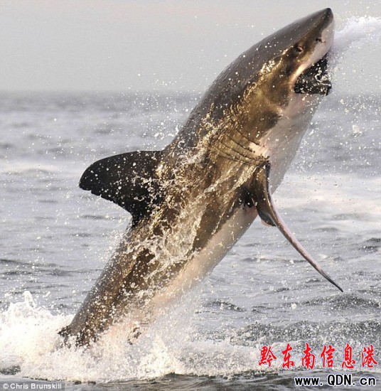 ������ǽ�������ˮ��Qҕ�C����ٔ����~֮һ