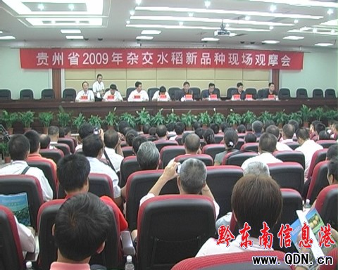 �F��ˮ����Ʒ�N�F���^Ħ��������h���_