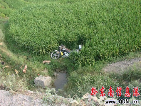 福泉一男子為偷一只狗命喪黃泉(圖)