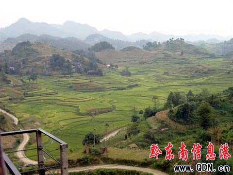 車窗外隱藏的梯田美景(組圖)