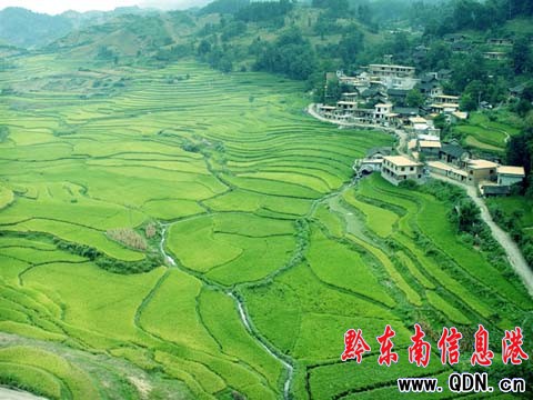 車窗外隱藏的梯田美景(組圖)