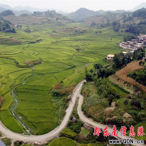 車窗外隱藏的梯田美景(組圖)