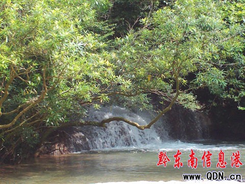 �����ײ� ���g�ɾ����M�D��