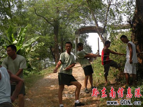 千年古樹搖搖欲墜 危及村民安全(組圖)