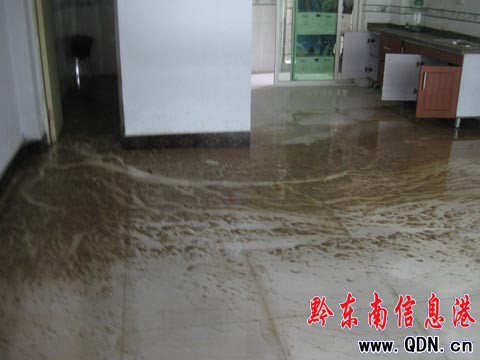 房子還未裝修罷,糞水頻頻“戀”新家(圖)