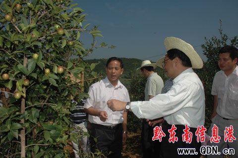 ��ƽ�h���½��Ͳ��ֻ���80�f(w��n)�����D��