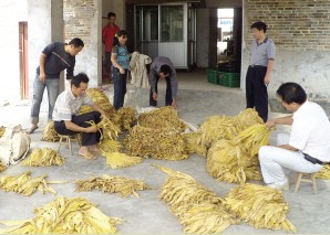 ����ʯ���(zh��n)���������A(y��)Ӌ(j��)����400�fԪ���D��