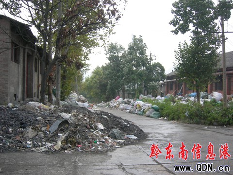 50米沖刺上班?原是臭烘烘的垃圾堆在作祟(圖)