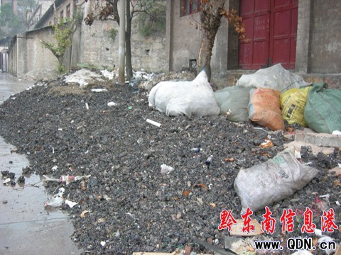 50米沖刺上班?原是臭烘烘的垃圾堆在作祟(圖)