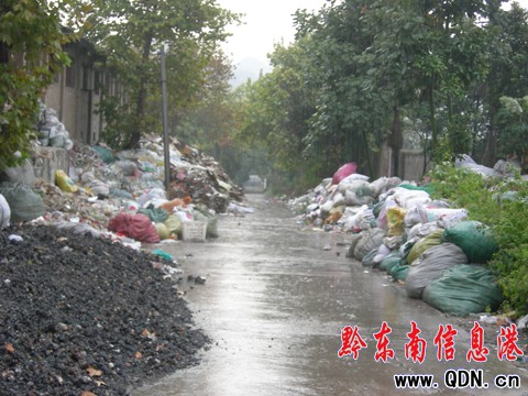 50米沖刺上班?原是臭烘烘的垃圾堆在作祟(圖)