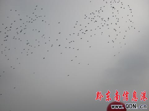 我州2009年教職工籃球賽開幕式 2萬人歡聚