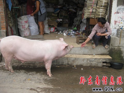 ����  �P�����^��ϴ��ˮ����i���M�D��