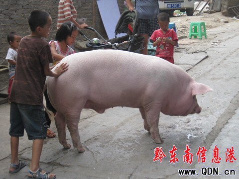 ����  �P�����^��ϴ��ˮ����i���M�D��