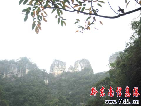 杉木河仙境 人類疲憊心靈的最后家園(圖)