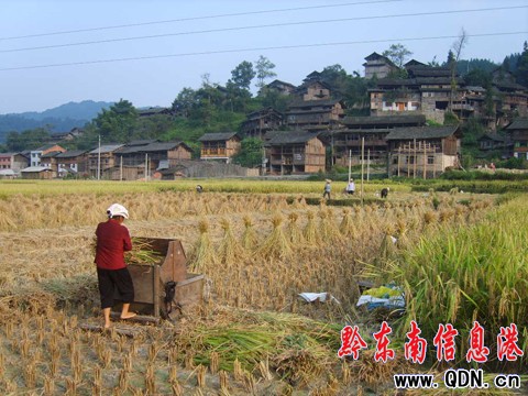 �\�����؋DŮ�ɞ����յ�����܊���D��