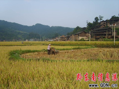 �\�����؋DŮ�ɞ����յ�����܊���D��