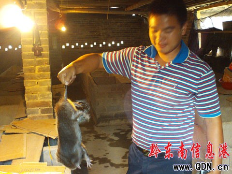 ���l���ꄓ�I������ �l���¸���