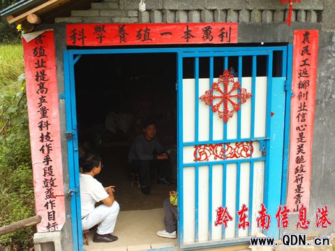 ���l���ꄓ�I������ �l���¸���