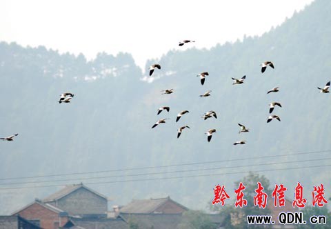 ������F(xi��n)��ˮ�B���@���������M�D��