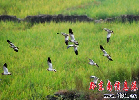 ������F(xi��n)��ˮ�B���@���������M�D��