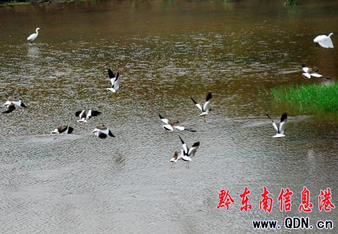 ������F(xi��n)��ˮ�B���@���������M�D��