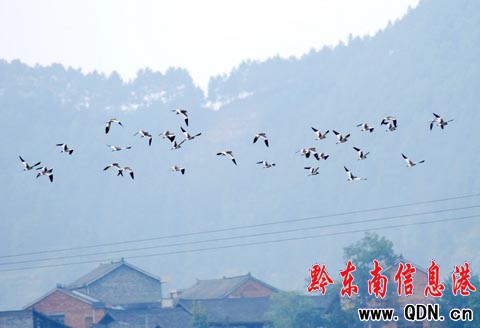 ������F(xi��n)��ˮ�B���@���������M�D��