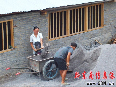 律師、經理咱不當 回家蓋房養(yǎng)雞去(圖)