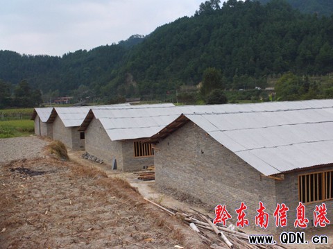 律師、經理咱不當 回家蓋房養(yǎng)雞去(圖)