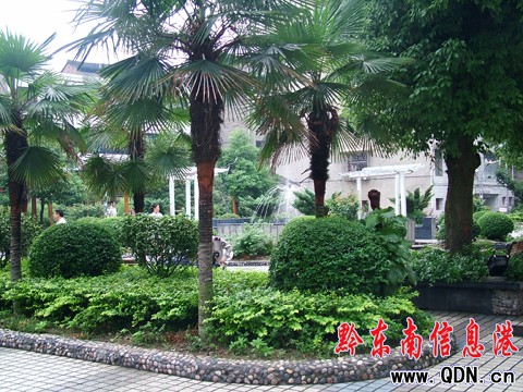 �����hŬ�����������Ƭ���M�D��