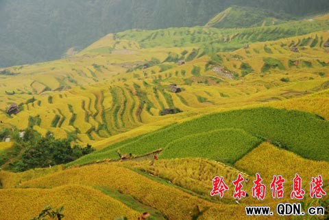 ����ɽ�^�����ļӰ�������ɫ���M�D��