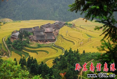 ����ɽ�^�����ļӰ�������ɫ���M�D��