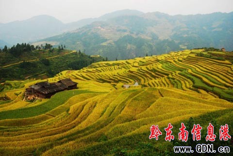 ����ɽ�^�����ļӰ�������ɫ���M�D��