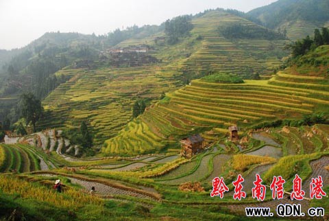 ����ɽ�^�����ļӰ�������ɫ���M�D��