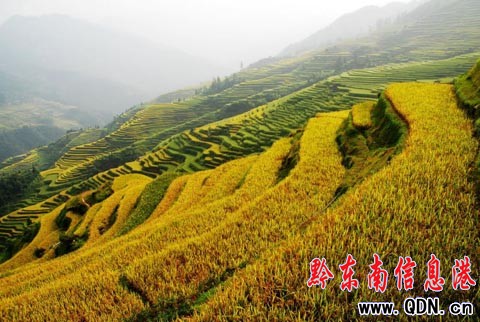 ����ɽ�^�����ļӰ�������ɫ���M�D��