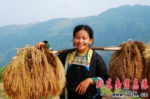 ����ɽ�^�����ļӰ�������ɫ���M�D��