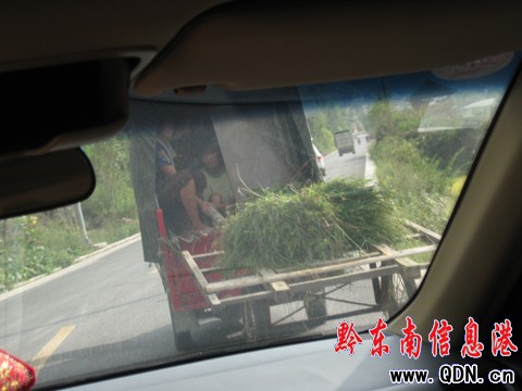 Σ�U����ɽ���������@���_܇���D��