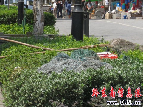 �G�����ϷŒ߰�������ò�Гp�����M�D��