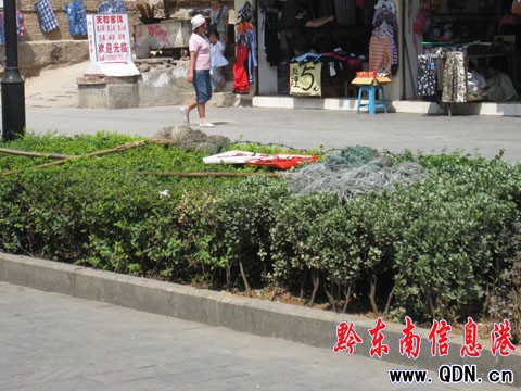 �G�����ϷŒ߰�������ò�Гp�����M�D��