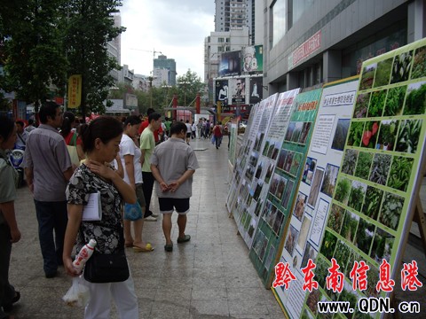 ȫ�������� ǭ�|����������Bֳ�c�������D��