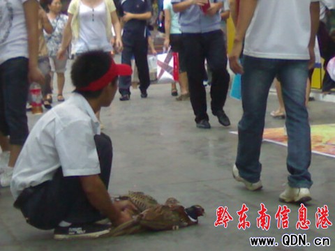 ���Ӯ����uɽ�u �ԷQ��Ұ�������D��