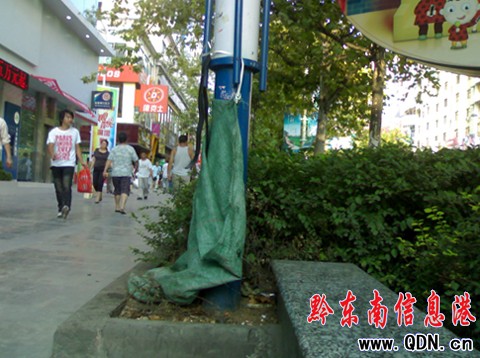 天氣轉涼 街邊照明燈也穿上