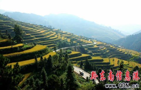 �׹�ɽ�������箋���D��